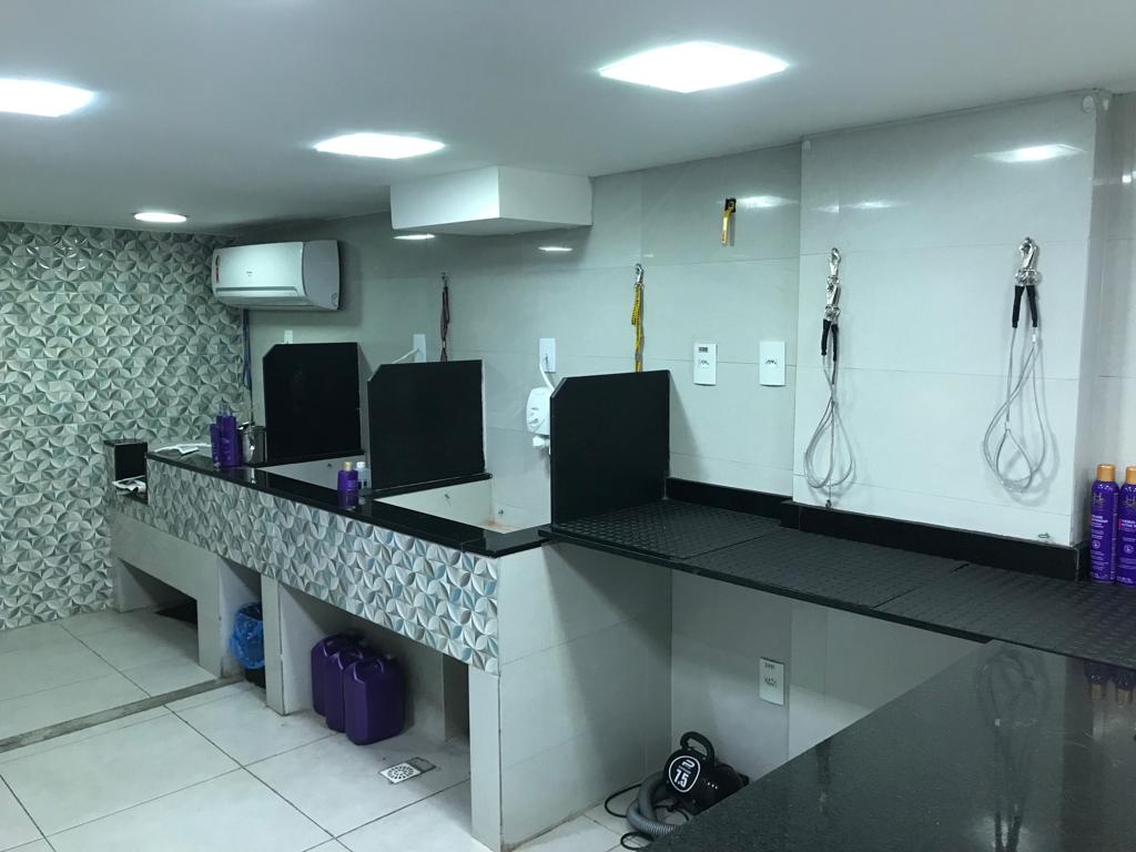 Estação de banho limpa e organizada da Amor de Pet